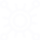 Vector